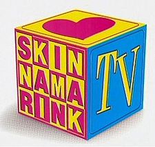 Skinnamarink TV - Skinnamarink TV (partially found children’s show starring Sharon, Lois and Bram; 1997-1999)