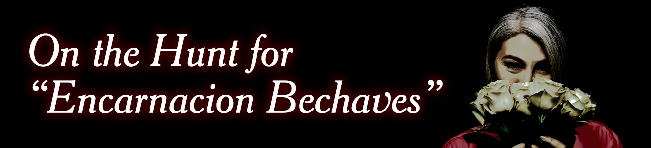 For more information on Encarnacion Bechaves and the search for it, visit the #oth-6-encarnacion-bechaves channel on the LMW Discord server!