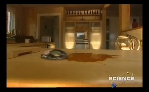 File:Future Living 2025 cleaning robot.jpeg
