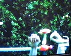 A low-quality screenshot of "Water Games!".