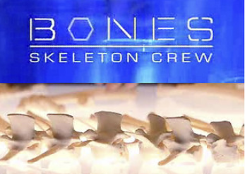 File:BonesSkeletonCrew-TitleCard.png