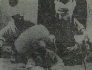 A screenshot of the first episode published in the newspaper.