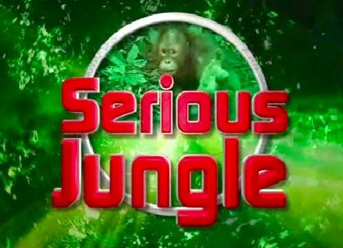File:Serious jungle logo.jpg