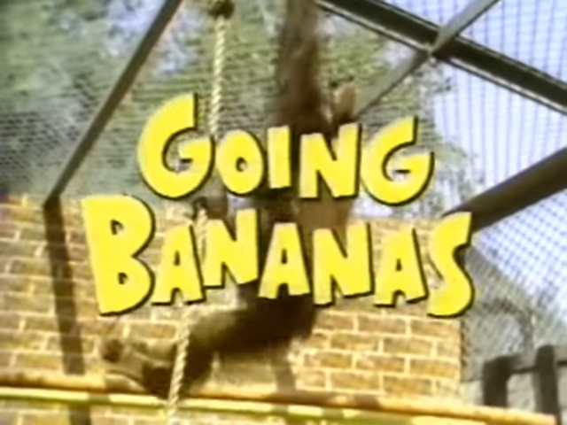 Going Bananas 1984 Logo.png