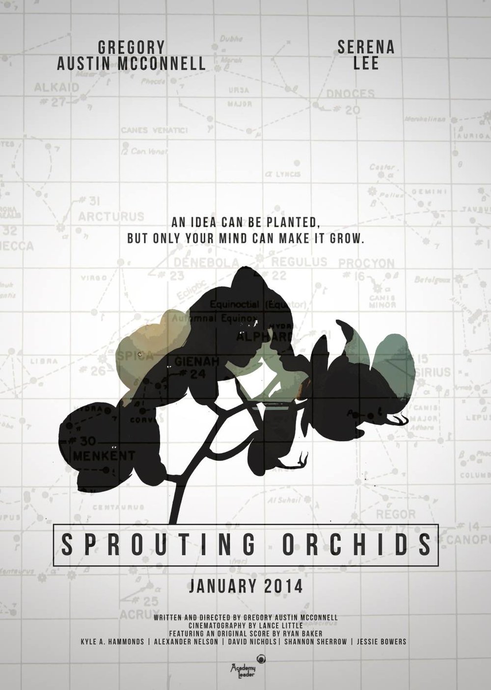 SproutingOrchidsPoster.jpeg
