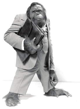 C.J. the orangutan as Mr. Smith