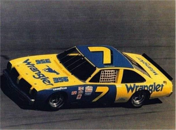 Earnhardt during the race.