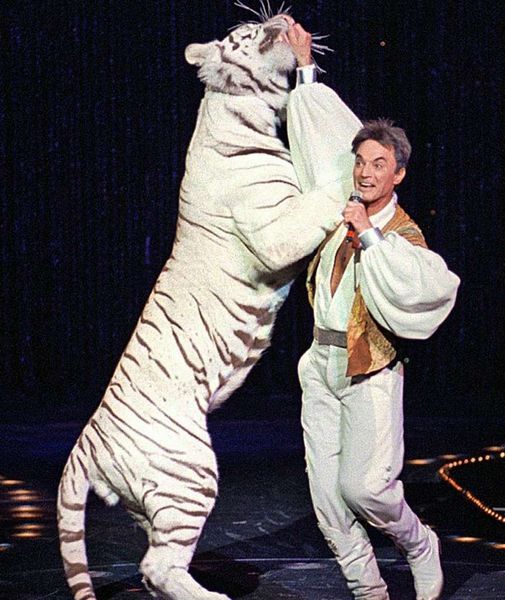 File:Roy and his white tiger.jpg