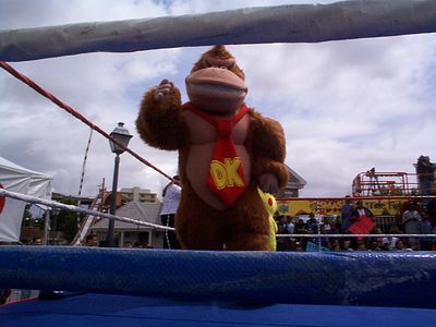 Full color image of Donkey Kong, shown in the book The Ultimate History of Video Games.