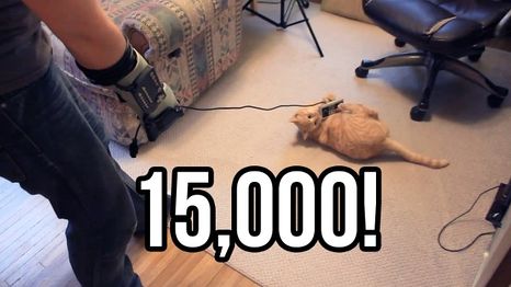 "15K SUBS! THANK YOU! So here’s a video of my cat!" thumbnail.