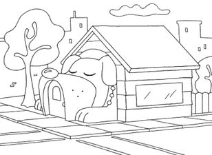 Background from the pilot (Pet shop).