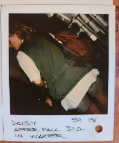File:Daisy Cafe 5.jpg