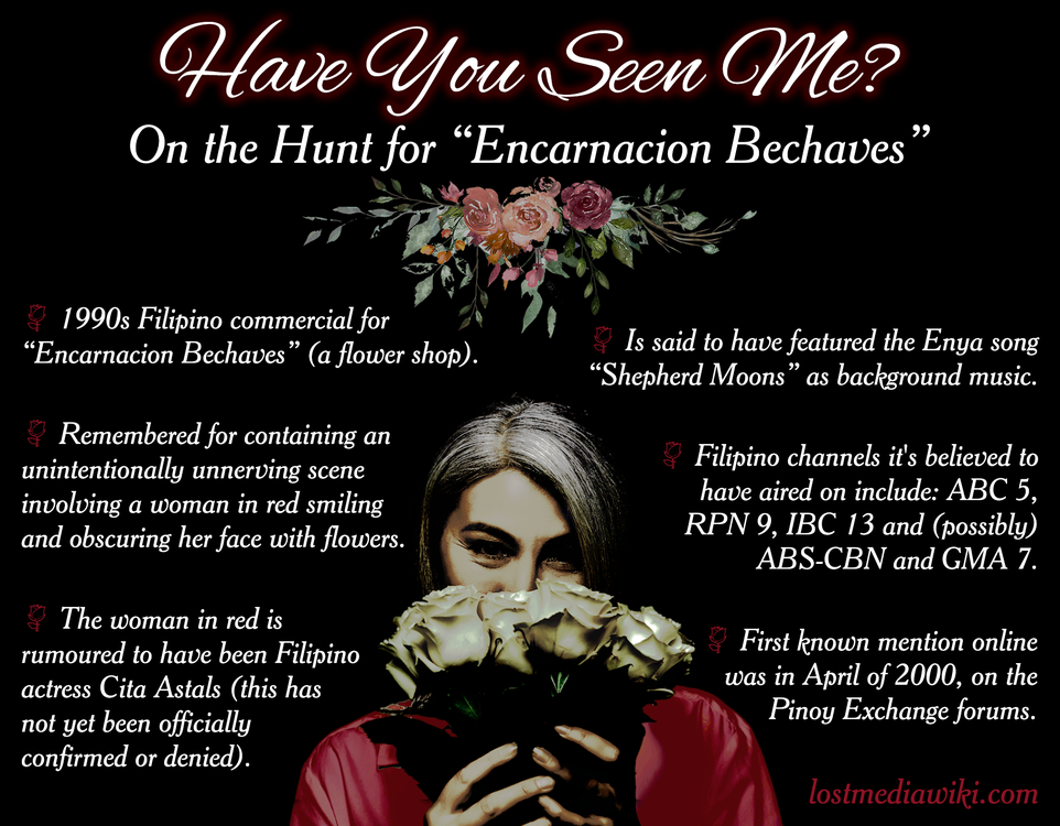 "Have You Seen Me?" flyer.
