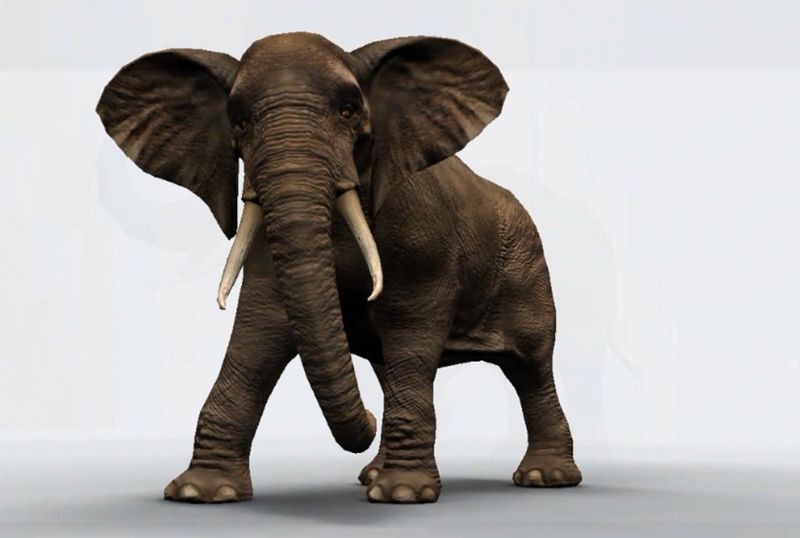 File:Elephant2.jpg