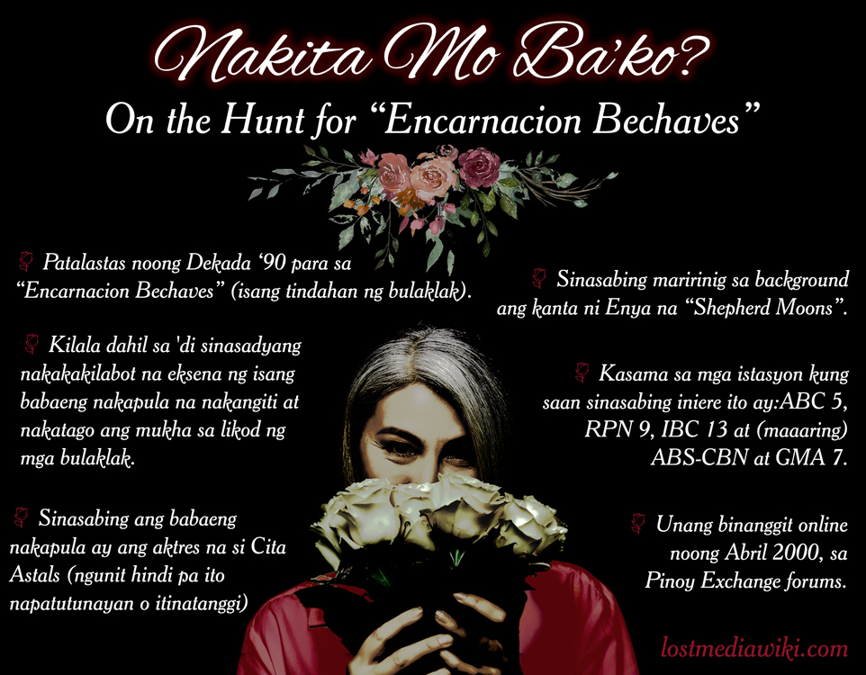 Tagalog version of the flyer (translated courtesy of ranichi17).
