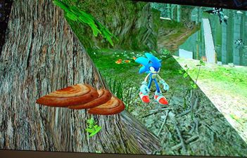 Sonic standing next to a tree with mushroom's on it. Alternate angle.